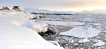 Tiniteqilaaq, Greenland